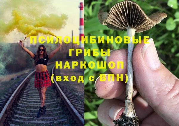 соль ск Алзамай
